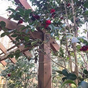 Meet your Posher, Believer